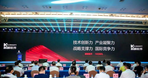 從零到世界矚目 銀河棉業(yè)如何織就中國紡織傳奇